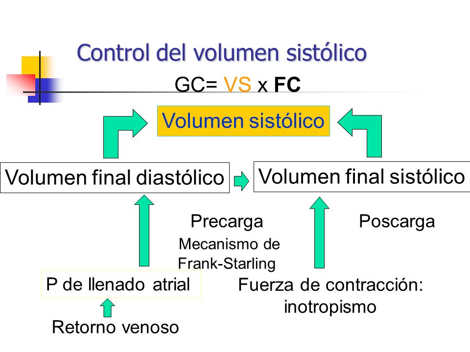 Disminución del volumen diastólico final